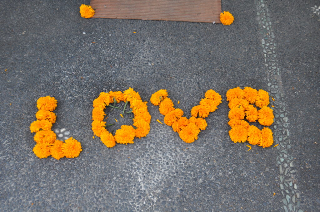 Bali Ubud Love Marigold Flowers