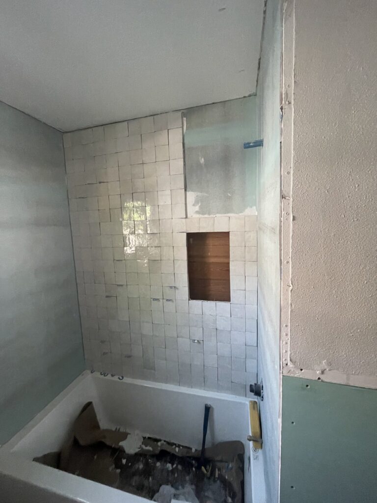 Nuela Designs Bathroom Remodel Progress interior designer