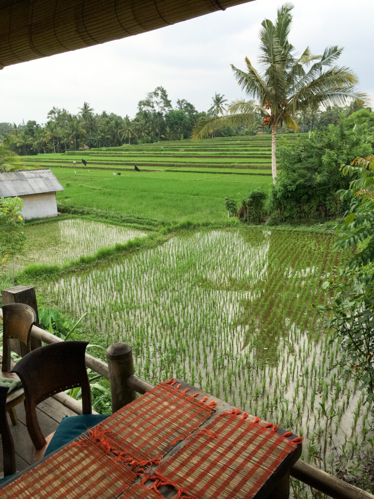 Sari Organik view in Ubud, Bali